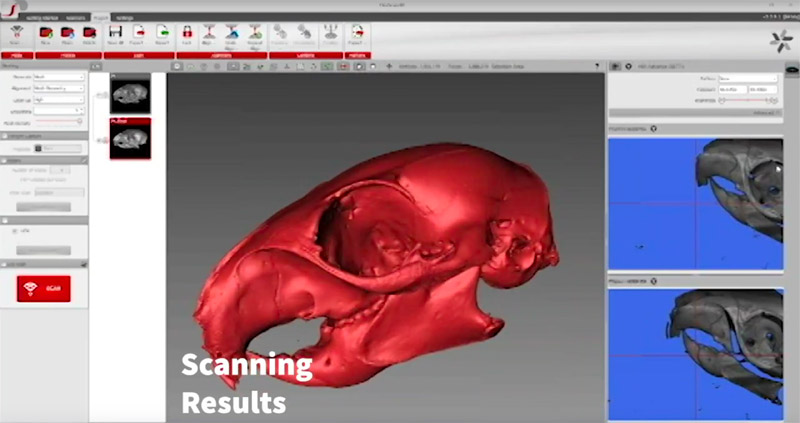 FlexScan3D screenshot of the 3d scan of squirrel skull