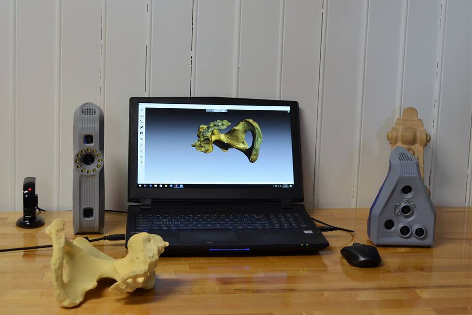 3d-scanning-fossil-artec