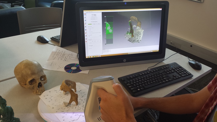 Digitizing Fossils