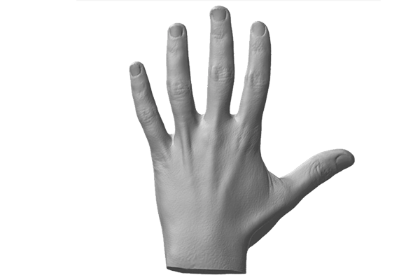 Hand 3d scan