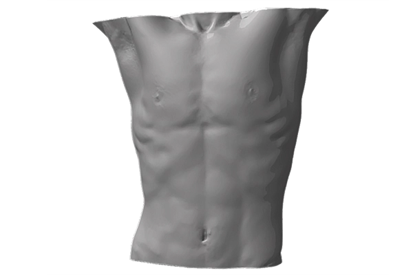 Torso 3d scan