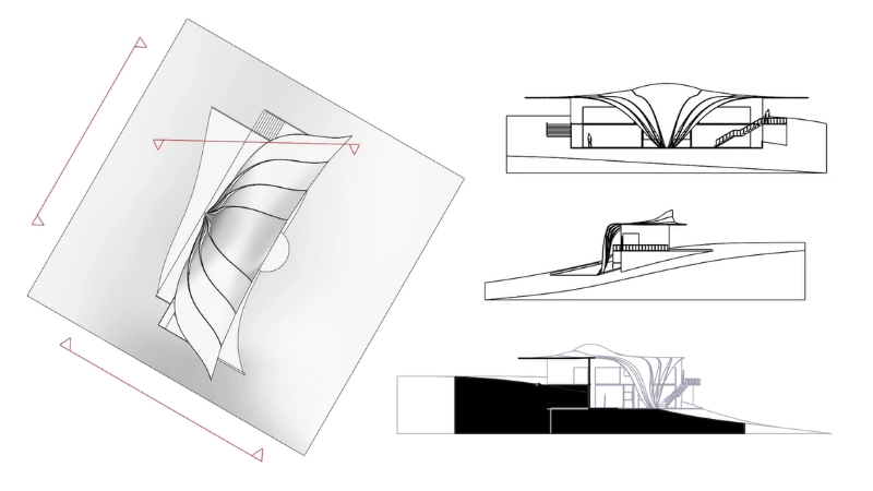 Dynamic Vector Drawing